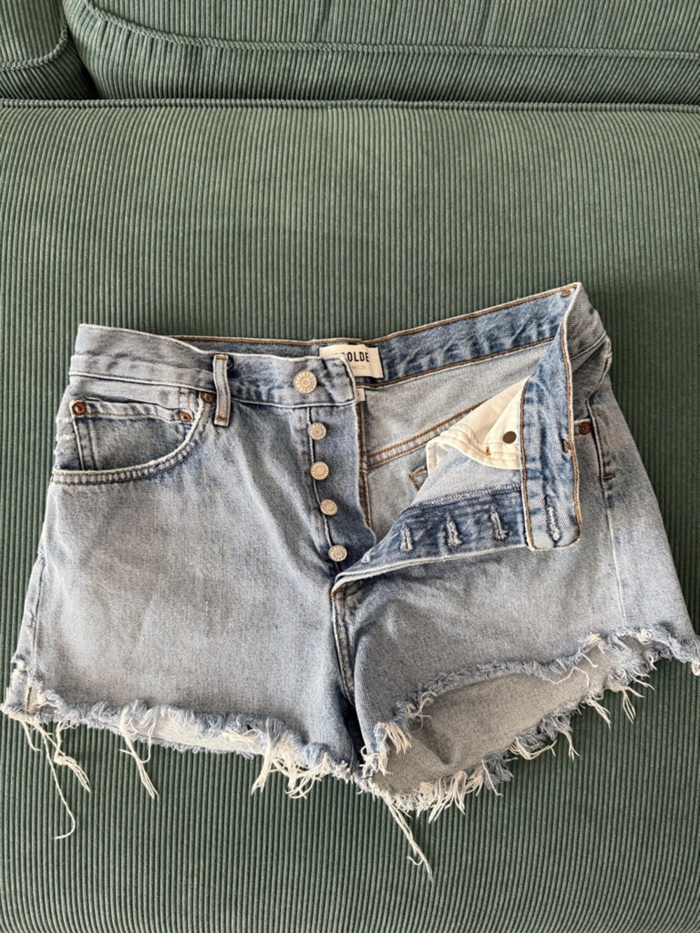 Agolde Parker Shorts